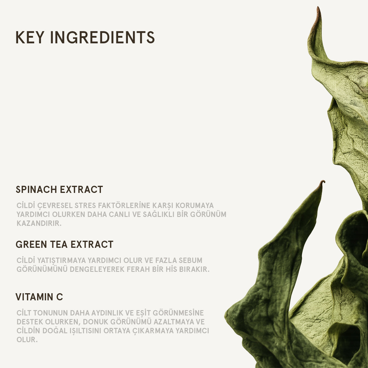 SUPER GREEN FACE CLEANSER