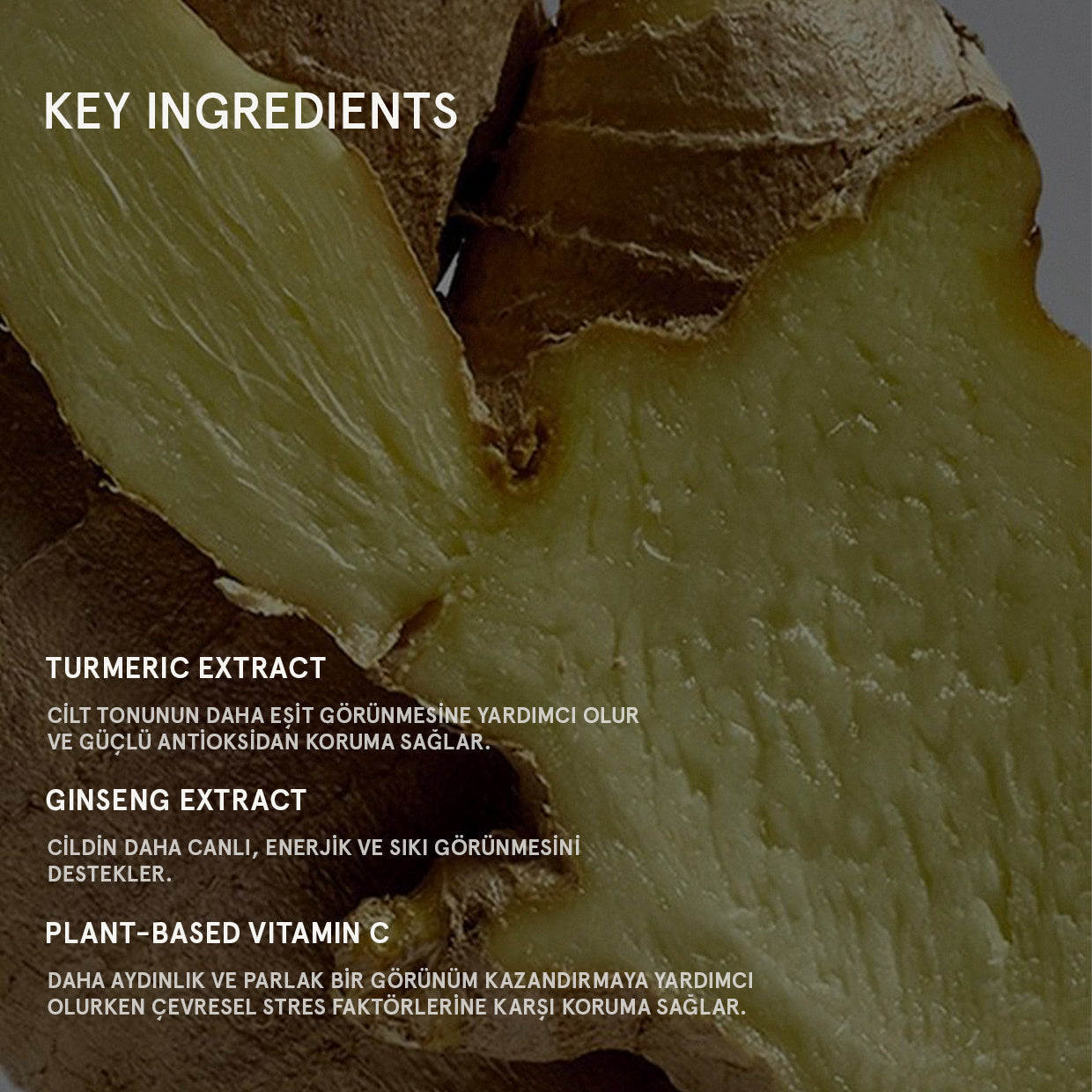 SUPERFOOD BRIGHTENING GLOW CREAM