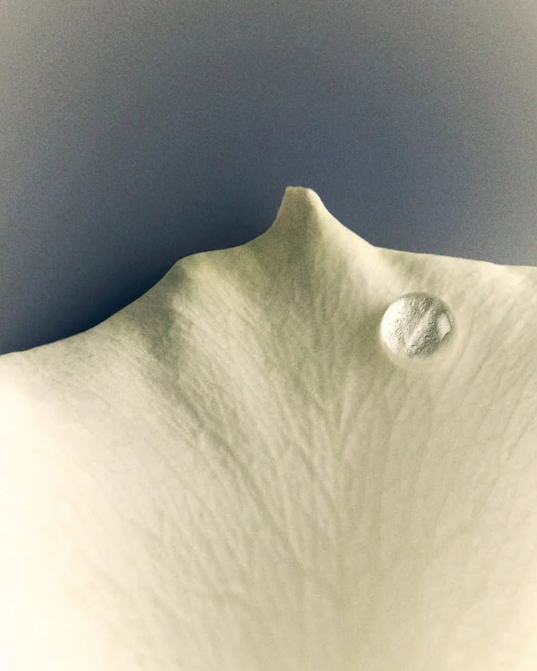 NIACINAMIDE SKINCARE