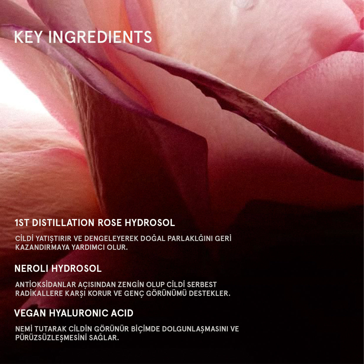 ROSEY FLORAL MIST ROSE + NEROLI HYDROSOL