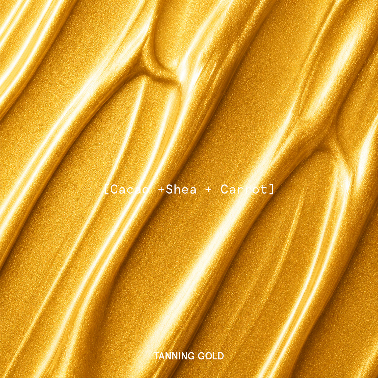 EARTHY BUTTER TANNING GOLD