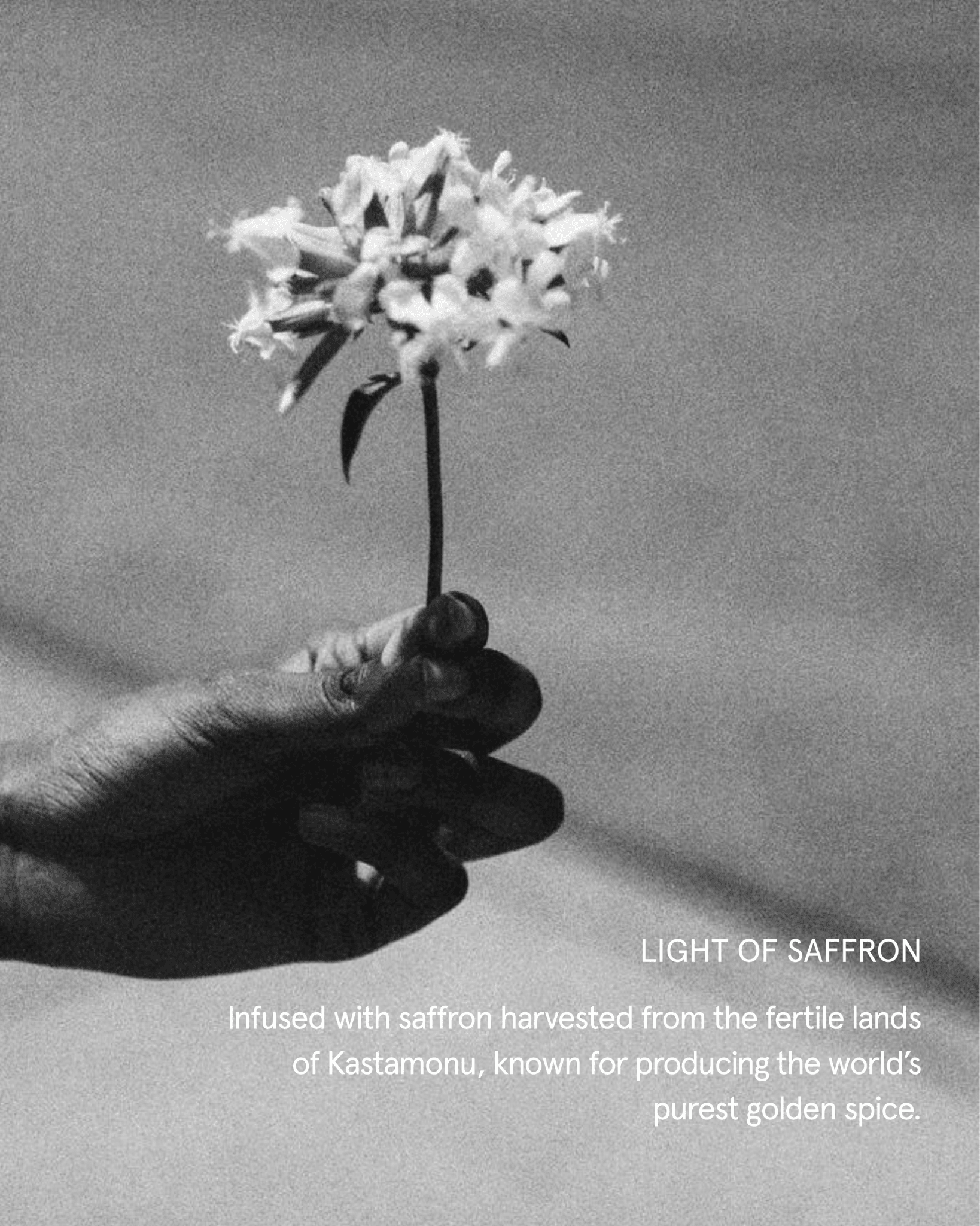SUPERNATURAL SAFFRON DAILY SUNSCREEN